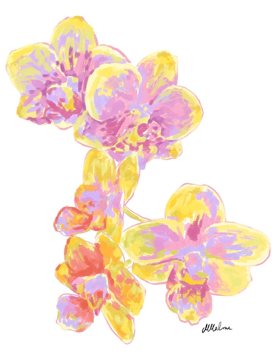 Orchids